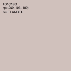 #D1C1BD - Soft Amber Color Image